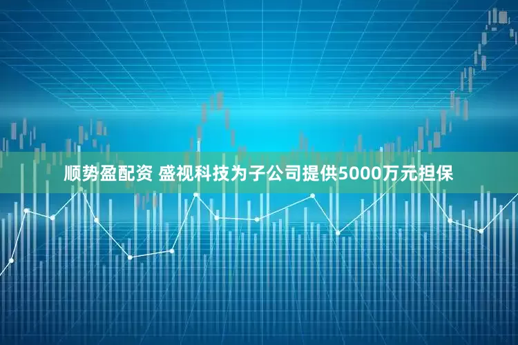 顺势盈配资 盛视科技为子公司提供5000万元担保