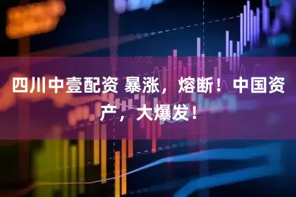 四川中壹配资 暴涨，熔断！中国资产，大爆发！