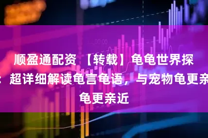 顺盈通配资 【转载】龟龟世界探秘：超详细解读龟言龟语，与宠物龟更亲近