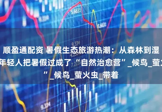 顺盈通配资 暑假生态旅游热潮：从森林到湿地，这届年轻人把暑假过成了 “自然治愈营”_候鸟_萤火虫_带着