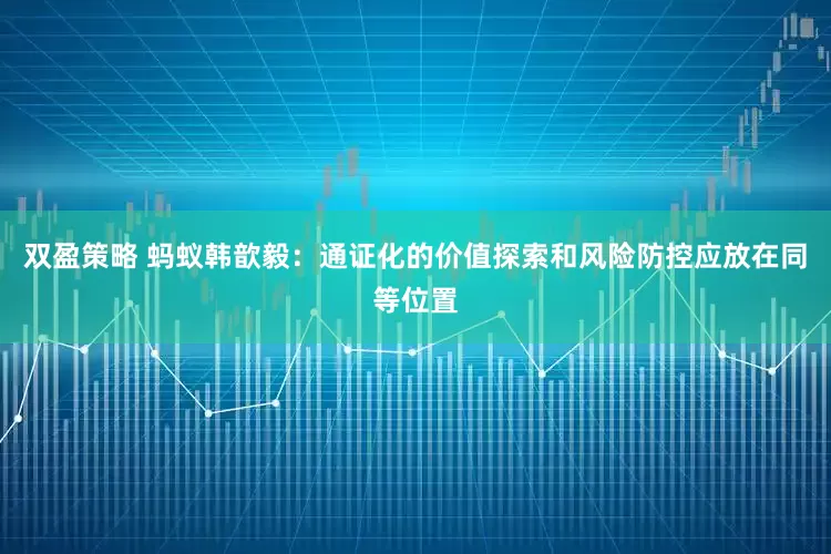 双盈策略 蚂蚁韩歆毅：通证化的价值探索和风险防控应放在同等位置