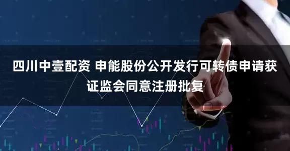 四川中壹配资 申能股份公开发行可转债申请获证监会同意注册批复