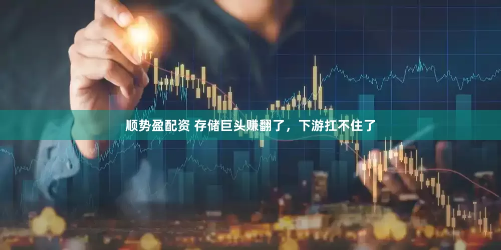 顺势盈配资 存储巨头赚翻了，下游扛不住了