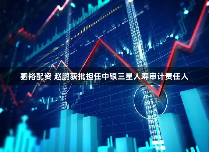 驷裕配资 赵鹏获批担任中银三星人寿审计责任人